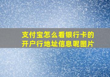 支付宝怎么看银行卡的开户行地址信息呢图片