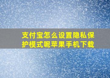 支付宝怎么设置隐私保护模式呢苹果手机下载