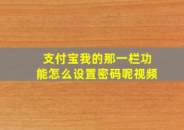 支付宝我的那一栏功能怎么设置密码呢视频