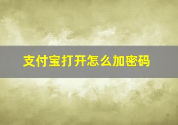 支付宝打开怎么加密码