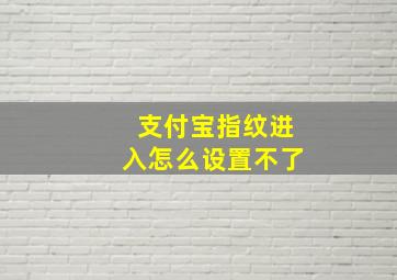 支付宝指纹进入怎么设置不了