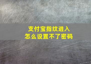 支付宝指纹进入怎么设置不了密码