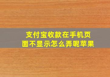 支付宝收款在手机页面不显示怎么弄呢苹果