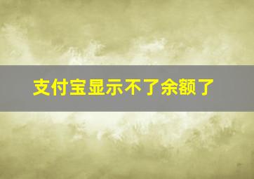 支付宝显示不了余额了