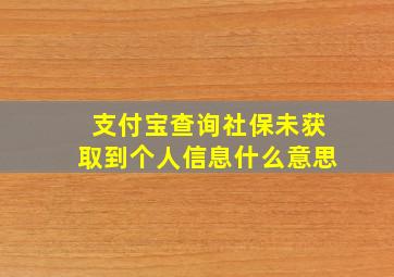 支付宝查询社保未获取到个人信息什么意思