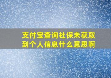 支付宝查询社保未获取到个人信息什么意思啊