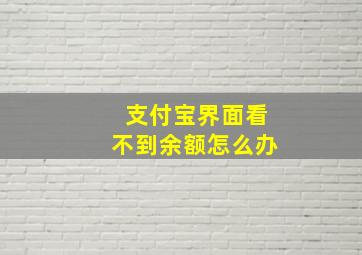 支付宝界面看不到余额怎么办