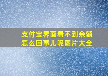 支付宝界面看不到余额怎么回事儿呢图片大全