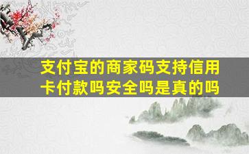 支付宝的商家码支持信用卡付款吗安全吗是真的吗