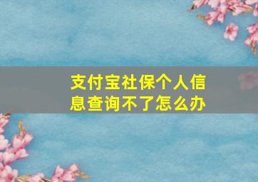 支付宝社保个人信息查询不了怎么办