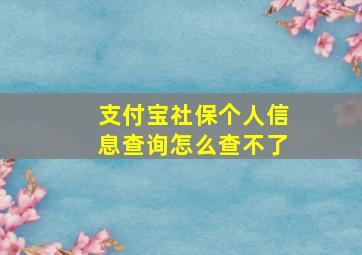 支付宝社保个人信息查询怎么查不了