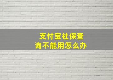 支付宝社保查询不能用怎么办