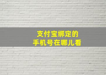 支付宝绑定的手机号在哪儿看