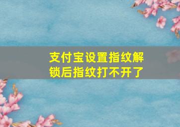 支付宝设置指纹解锁后指纹打不开了