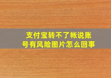 支付宝转不了帐说账号有风险图片怎么回事