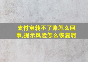 支付宝转不了账怎么回事,提示风险怎么恢复呢