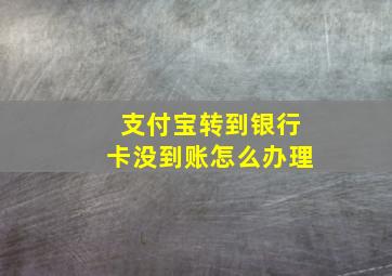 支付宝转到银行卡没到账怎么办理