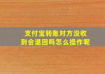 支付宝转账对方没收到会退回吗怎么操作呢