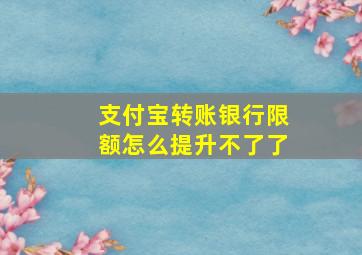 支付宝转账银行限额怎么提升不了了