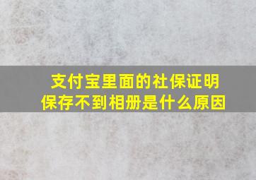 支付宝里面的社保证明保存不到相册是什么原因