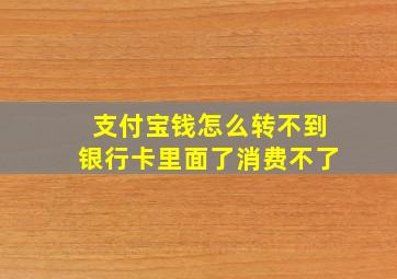 支付宝钱怎么转不到银行卡里面了消费不了