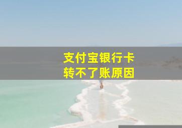 支付宝银行卡转不了账原因