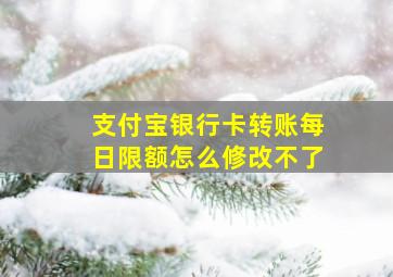 支付宝银行卡转账每日限额怎么修改不了