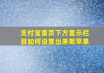 支付宝首页下方显示栏目如何设置出来呢苹果