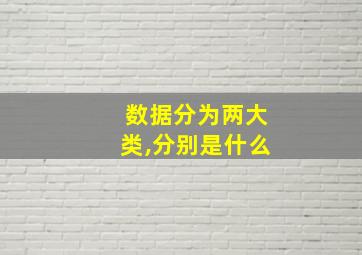 数据分为两大类,分别是什么