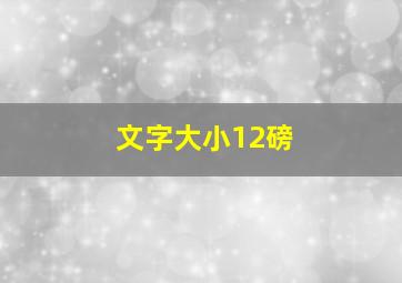 文字大小12磅