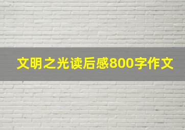 文明之光读后感800字作文