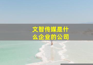 文智传媒是什么企业的公司