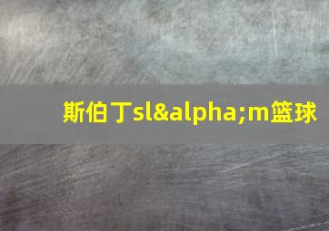 斯伯丁slαm篮球