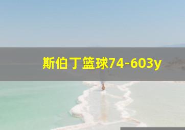 斯伯丁篮球74-603y