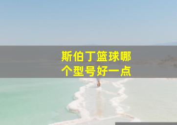 斯伯丁篮球哪个型号好一点