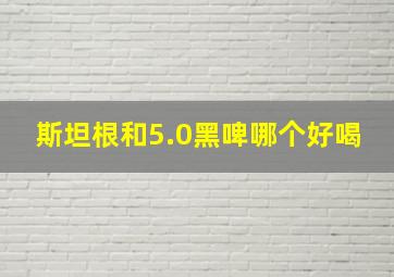 斯坦根和5.0黑啤哪个好喝