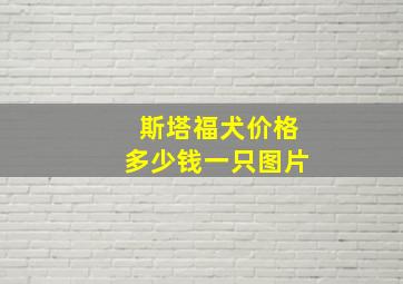 斯塔福犬价格多少钱一只图片