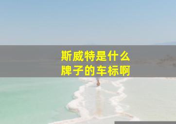 斯威特是什么牌子的车标啊