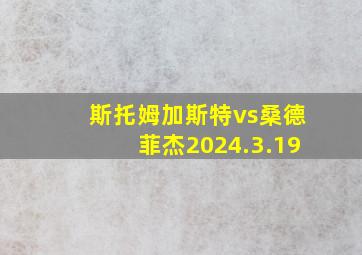 斯托姆加斯特vs桑德菲杰2024.3.19