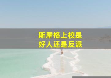 斯摩格上校是好人还是反派