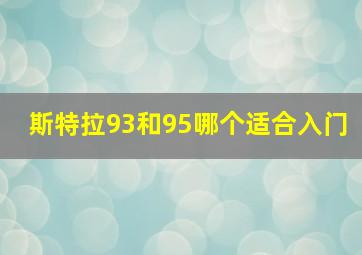 斯特拉93和95哪个适合入门