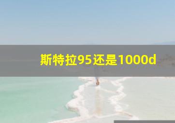 斯特拉95还是1000d