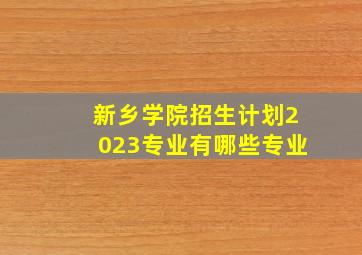 新乡学院招生计划2023专业有哪些专业