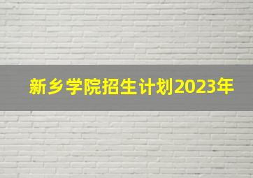 新乡学院招生计划2023年