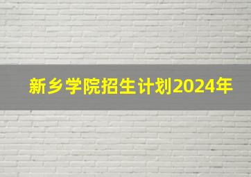 新乡学院招生计划2024年