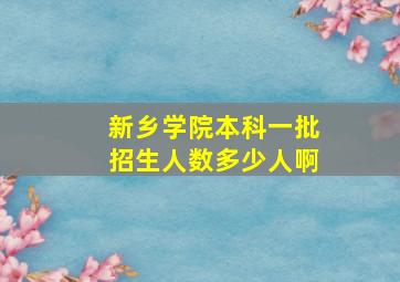 新乡学院本科一批招生人数多少人啊