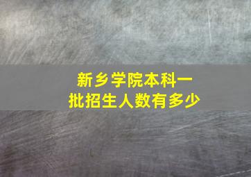 新乡学院本科一批招生人数有多少