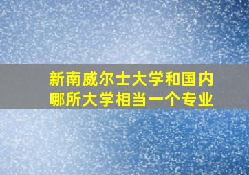 新南威尔士大学和国内哪所大学相当一个专业