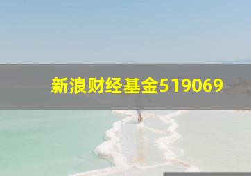 新浪财经基金519069