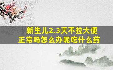 新生儿2.3天不拉大便正常吗怎么办呢吃什么药